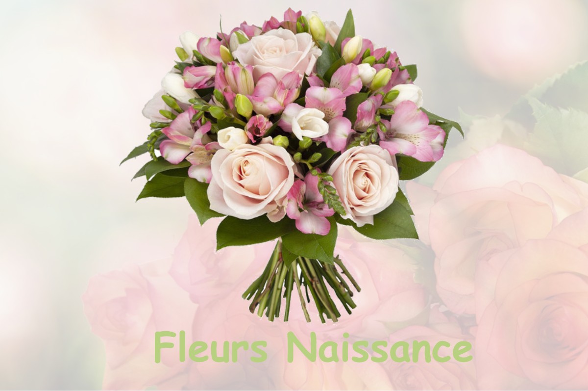 fleurs naissance BUSSY-LE-GRAND